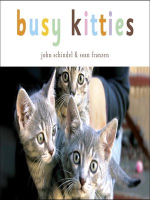 cover image of Busy Kitties